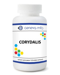 Corydalis
